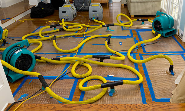 Professional Sewage Cleanup technician working in Waterville, OH